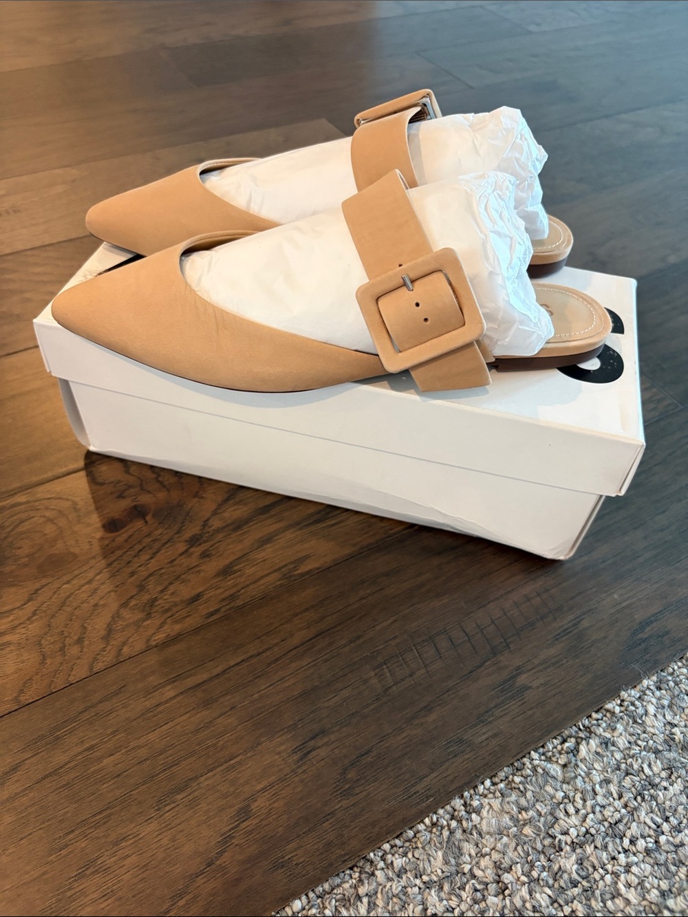 New In Box Schutz Adilia Pointed Toe Buckle Mule Flats Sz 8 - Picture 4 of 7